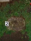 image of grave number 275066